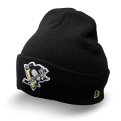Шапка New Era- Pittsburgh Penguins Rockland (black/team)