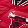 Жилет Mitchell & Ness - Chicago Bulls Title Holder Vest