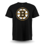 Футболка '47 Brand - Boston Bruins Logo Frozen Rope Tee