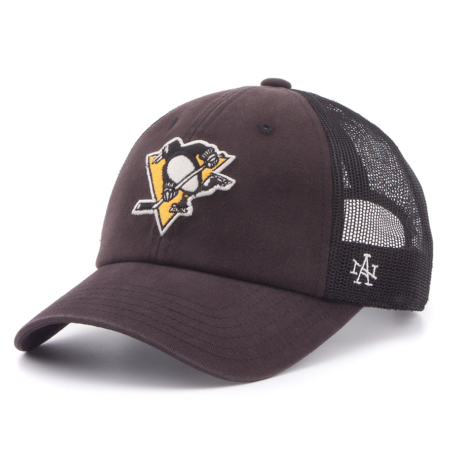 Бейсболка American Needle - Raglan Bones Pittsburgh Penguins NHL (dark grey)