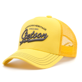 Бейсболка Stetson - American Heritage Classic (yellow)