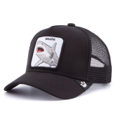 Бейсболка Goorin Brothers - Dunnah