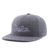 Бейсболка Hood - Dallas III