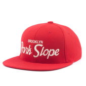 Бейсболка Hood - Park Slope, NY (coliseum)