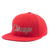 Бейсболка Hood - Chicago VI (coliseum)