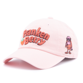 Бейсболка American Needle - Ballpark Franken Berry