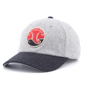 Бейсболка American Needle - Archive Legend NPL Taiyo Whales