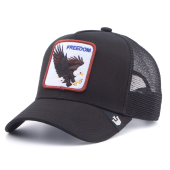 Бейсболка Goorin Brothers - Freedom (black)