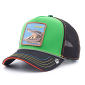 Бейсболка Goorin Brothers - 32 in Twenty