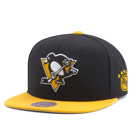 mitchell and ness penguins