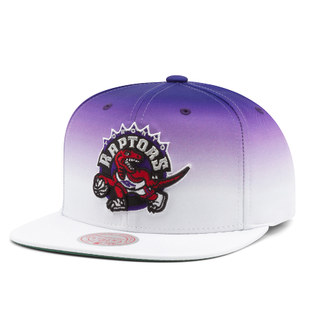 raptors cap new era