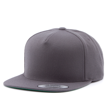 panel snapback