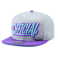 Бейсболка Official - Stay Official (grey/purple) Snapback