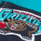 Жилет Mitchell & Ness - Vancouver Grizzlies Winning Team Vest