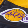 Жилет Mitchell & Ness - Los Angeles Lakers Winning Team Vest