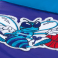 Жилет Mitchell & Ness - Charlotte Hornets Winning Team Vest