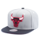 Бейсболка Mitchell & Ness - Chicago Bulls 2 Tone Elephant Flock Snapback (grey/black)