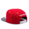 Бейсболка Mitchell & Ness - Detroit Red Wings XL Reflective 2 Tone Snapback Бейсболка Mitchell & Ness - Detroit Red Wings XL Reflective 2 Tone Snapback