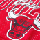Майка Mitchell & Ness - Chicago Bulls Reversible Mesh Tank
