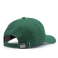 Бейсболка Mitchell & Ness - Little Dribbler Dad Hat (green/white)