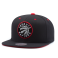 Бейсболка Mitchell & Ness - Toronto Raptors Solid Velour Logo Snapback