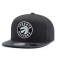 Бейсболка Mitchell & Ness - Toronto Raptors Ultimate Snapback