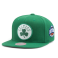 Бейсболка Mitchell & Ness - Boston Celtics Silicon Grass Snapback