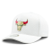 Бейсболка Mitchell & Ness - Chicago Bulls Ace Snapback