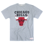 Футболка Mitchell & Ness - Chicago Bulls Standard Team Logo Tee(tailored)
