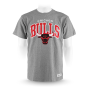 Футболка Mitchell & Ness - Chicago Bulls Team Arch Tee