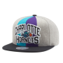 Бейсболка Mitchell & Ness - Charlotte Hornets Equip Snapback