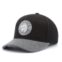 Бейсболка Mitchell & Ness - Toronto Raptors Greytone Fleece 110 Snapback