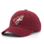 Бейсболка American Needle - Blue Line Arizona Coyotes