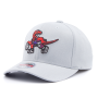 Бейсболка Mitchell & Ness - Toronto Raptors Spot Lights Redline