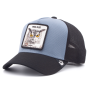 Бейсболка Goorin Brothers - Wise Owl (black/blue)