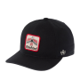 Бейсболка American Needle - Firebird Hepcat (black)
